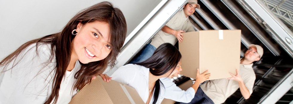 Professional Removalists Thoopara